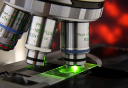 New Cancer Research May Also Benefit Animals