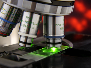 Bioniche Nears Launch Of Canine Cancer Biologics