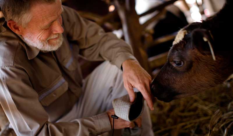 MSU Receives Grant to Support Mobile Veterinary Clinics