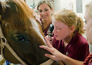 MSU Veterinary Camp Offers Hands-On Learning For Kids