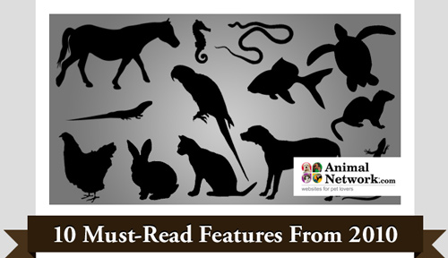 AnimalNetwork's Top 10 Must-Read Stories For 2010