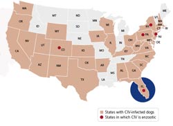 USDA Grants Full License To Canine Influenza Virus Vaccine