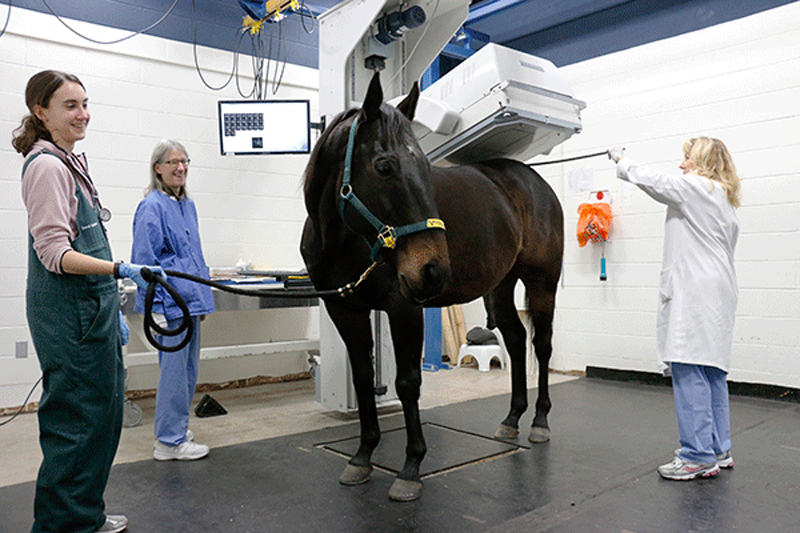 Wisconsin’s Veterinary Care Upgrades Nuclear Imaging