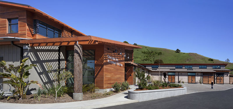 Going Green Brings Gold to Oakland Zoo Veterinary Hospital