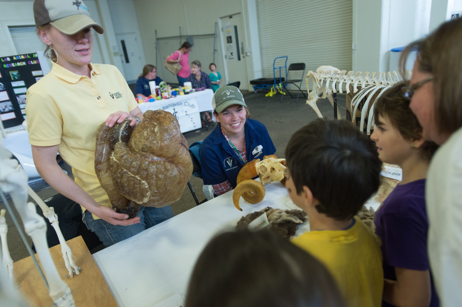 CSU’s Vet Teaching Hospital Sets Open House for April 16