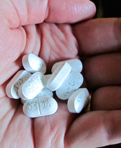 Oregon Veterinarians Sound Off On Human Med Pharmacists Dispensing To Pets