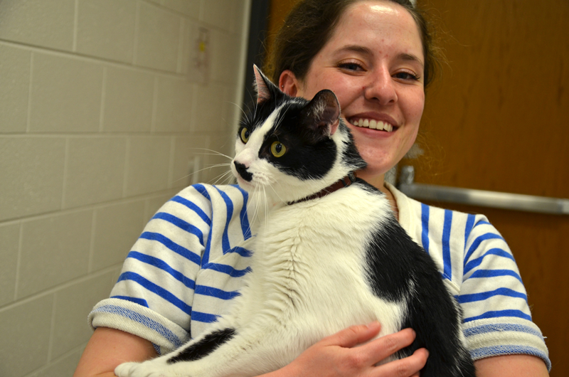 Virginia Tech Vet Students Put Pets on Weight-Loss Challenge