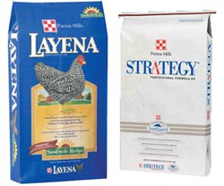 Purina Recalls Two Lots Of Horse, Poultry Feeds