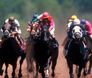 AAEP Releases Clinical Guidelines On Racehorse Care