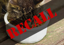 Feline’s Pride Recalls Chicken Formula Cat Food