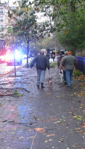 Vet Clinics In The Northeast Struggle With Loss Of Power, Flooding