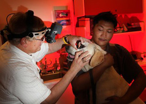 ACVO Gives Free Exams To Service Animals