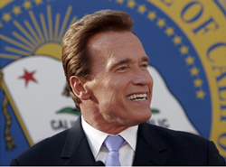 Schwarzenegger Vetoes Pet Insurance Bill