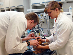 University Of Tennessee And Midmark Develop Dental Suite