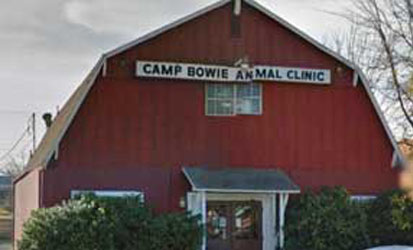 Texas Animal Clinic Under Investigation