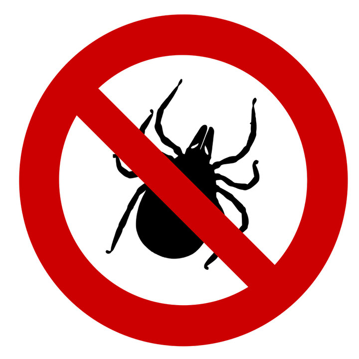 Lyme Disease Likely Millions Of Years Old