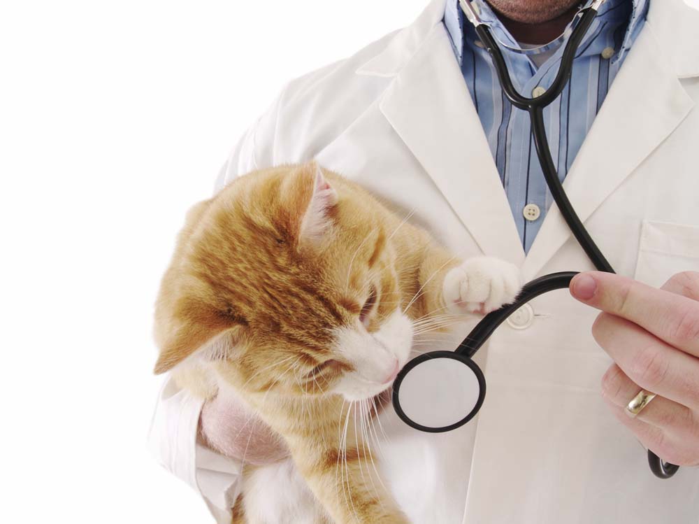 Trupanion Pet Insurance Proposes $75 Million IPO