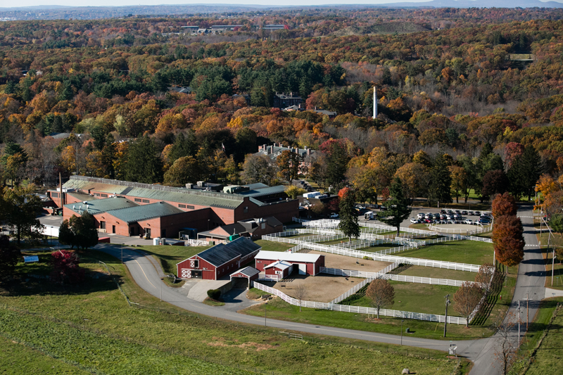 Tufts Vet School Launches Master’s Program in Infectious Disease