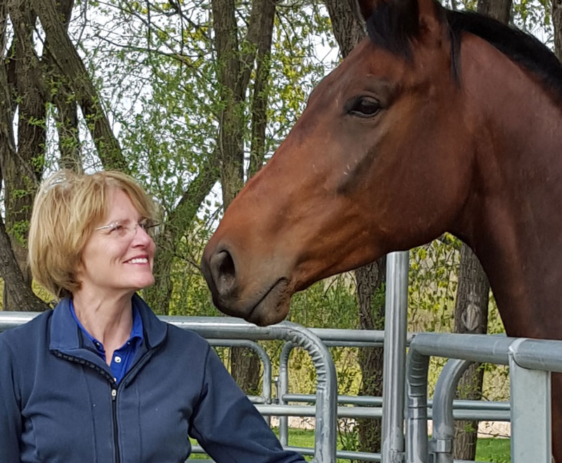 Dr. Stephanie Valberg to Join MSU’s Vet College