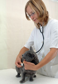 Alabama Accepts AAHA Accreditation in Lieu of State Inspection