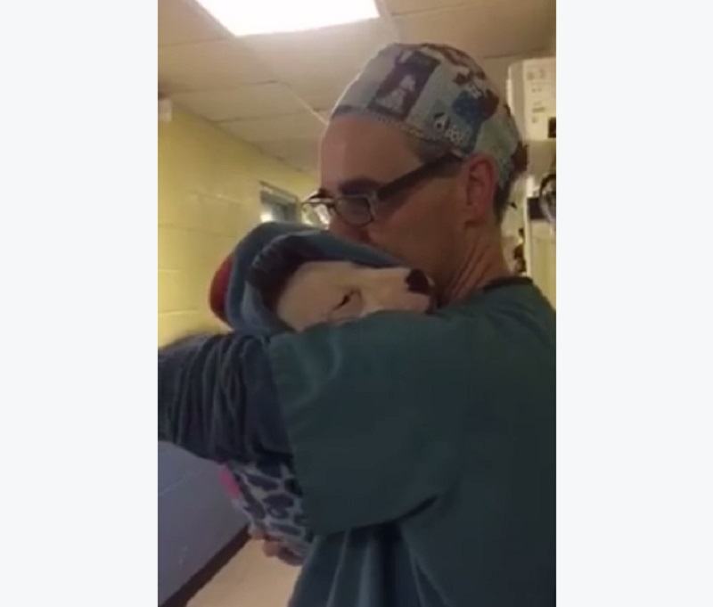 Veterinary Assistant Comforts Scared Puppy in the Sweetest Way Possible