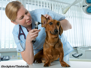 PurinaCare Selling All 12,000 Pet Insurance Policies To Pethealth