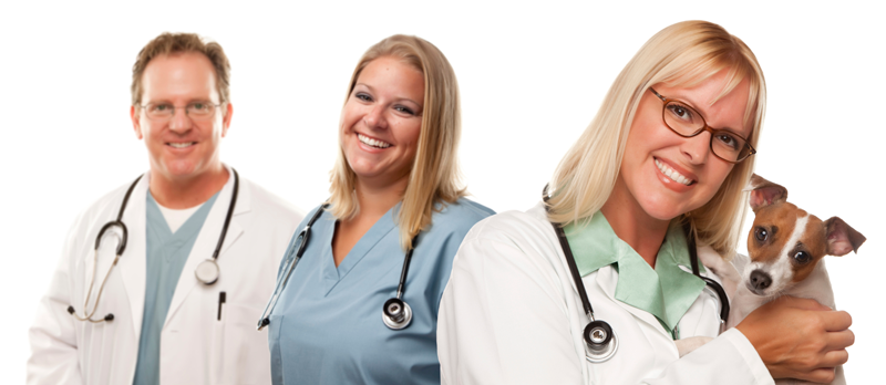 Bright Future Forecast for Veterinary Services