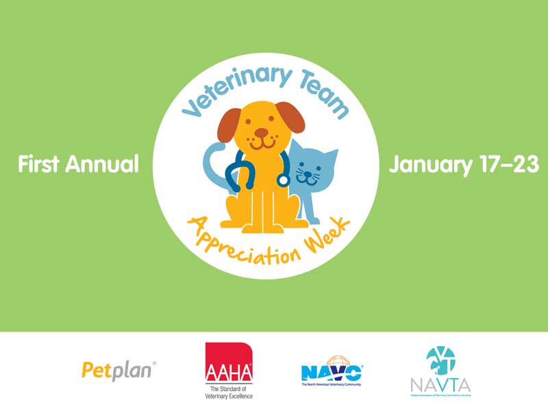 It's the First Annual Veterinary Team Appreciation Week!