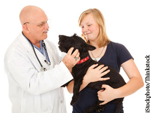 FDA Approves Trio Of New Canine Drugs