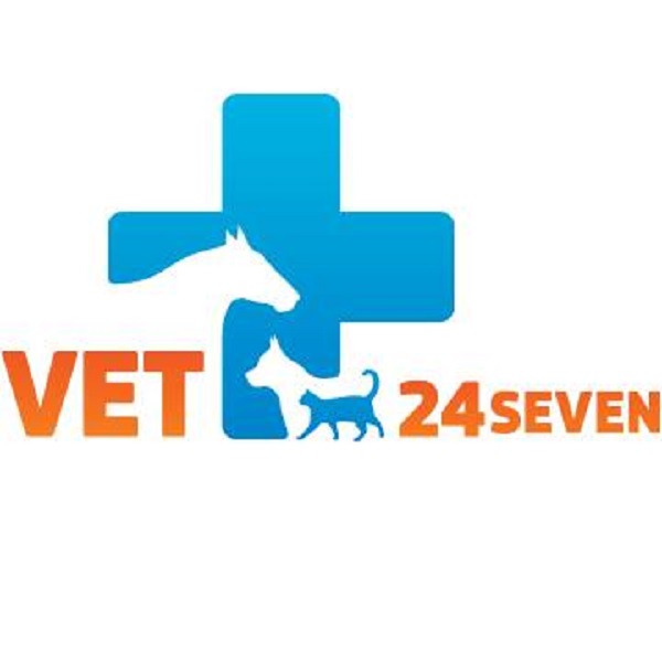 $1.2 Million Raised In Seed Funding For Vet24seven