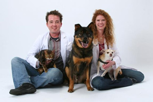 Vets To Dispense Online Veterinary Advice For Fees