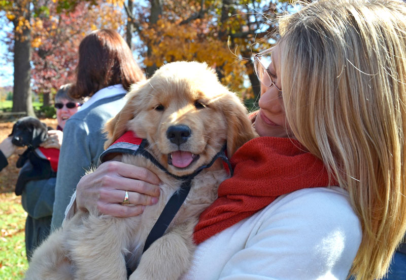 Virginia Tech to Help Raise Service Dogs