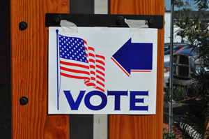 Election 2010 Results: Votes For Vets