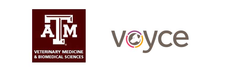 Texas Vet College to Offer Voyce Pro Wellness Monitoring Program