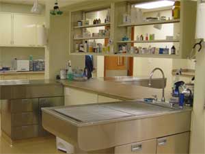 Colorado Clinic Takes AAHA Practice Of The Year Honors