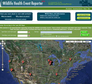 Wildlife Health-Reporting Tools Aim To Advance Initiative