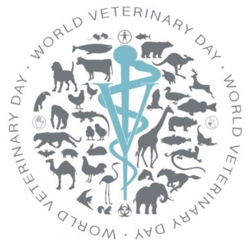 Antimicrobial resistance is theme for this year’s World Veterinary Day