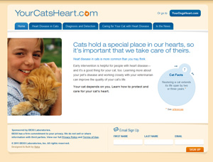 Idexx Still Seeks Participants For Feline Cardiac Disease Survey