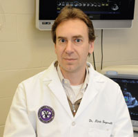 Having The Heart For Veterinary Cardiology