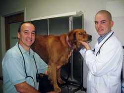 Sons Rise To The Challenge: Drs. Jacob And Nick Mathias