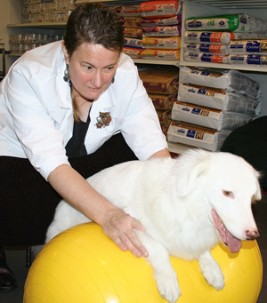 Doing The Right Thing For Animals