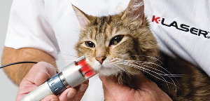 Some Hows And Whys Of Laser Therapy