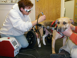 Uses Of Therapeutic Laser Expand