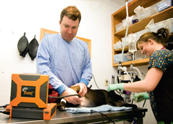 Technical And Business Training Help Drive Ultrasound’s Growing Popularity