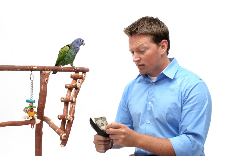 Planning Pet Care Can Help Clients Pay Bills