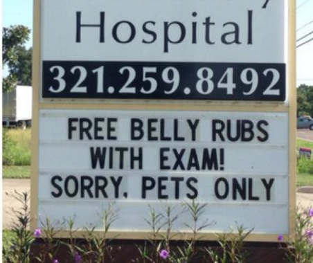 Eau Gallie Veterinary Hospital's Sign Game is Great