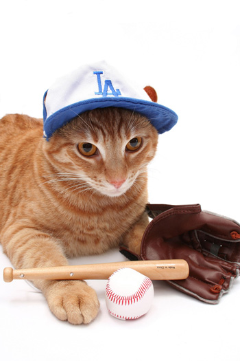 Hit A Home Run With Staff And Clients When You Make A Major Purchase