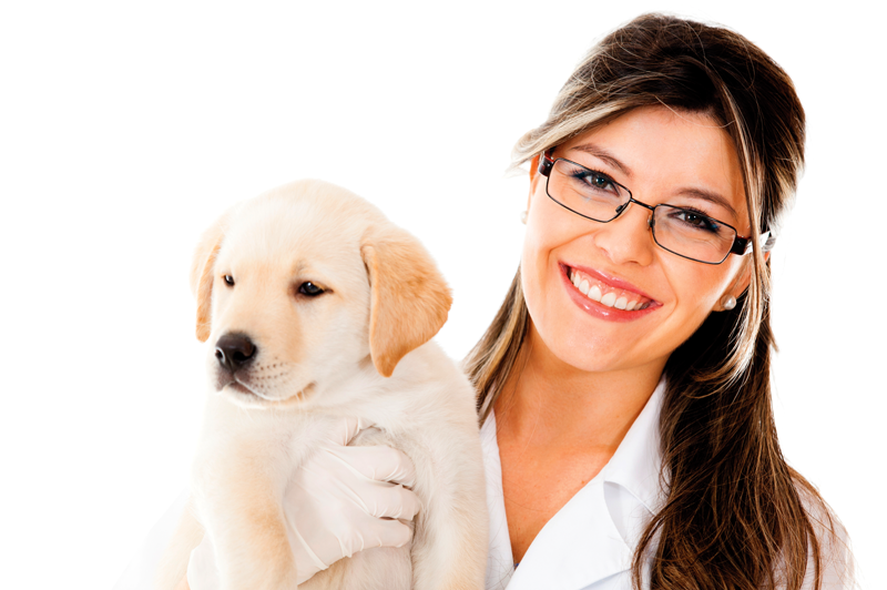 How to Discuss Costs of Preventive Care With Your Veterinary Clients