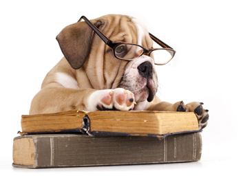 Learn About Continuing Education