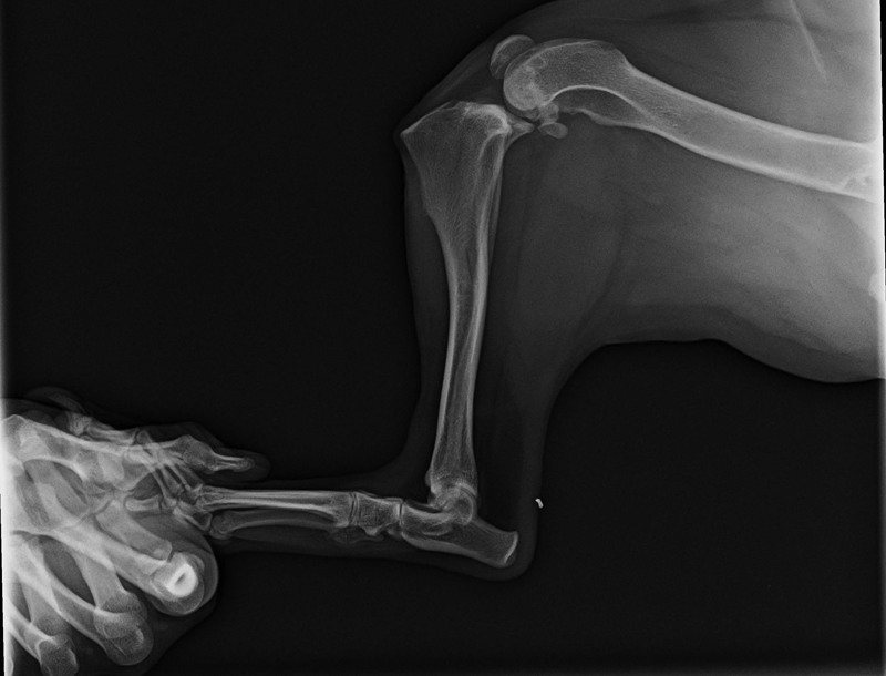 Would your hospital pass a radiation safety inspection?